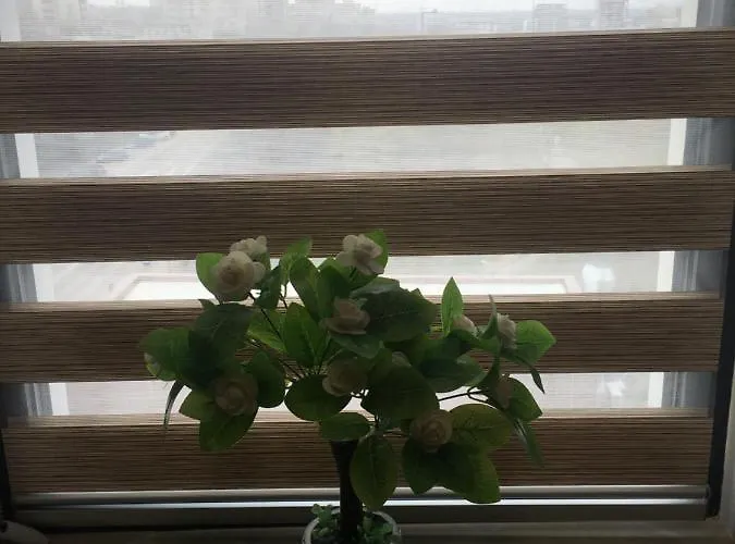 Apartment Dream Duplex By Seaside *